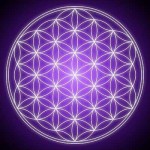 flower_of_lifepurple