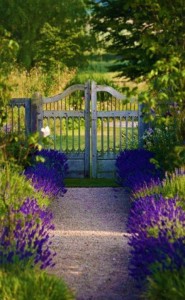 purplepathwithgate