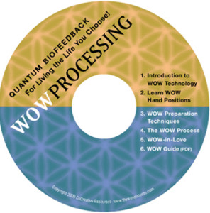 wowCDcover Energy Psychology/WOW Processing with Rev. Louisa A. Dyer, MA