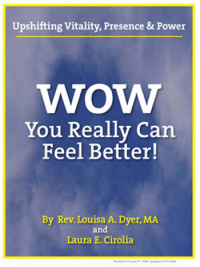 wow ebook cover