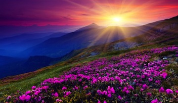 Wholistic Spiritual Counseling with Rev. Louisa A. Dyer, MA