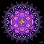 purplecircleOM