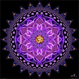 purplecircleOM